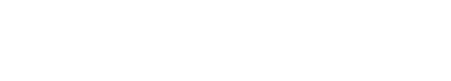 BestCar.wiki logo