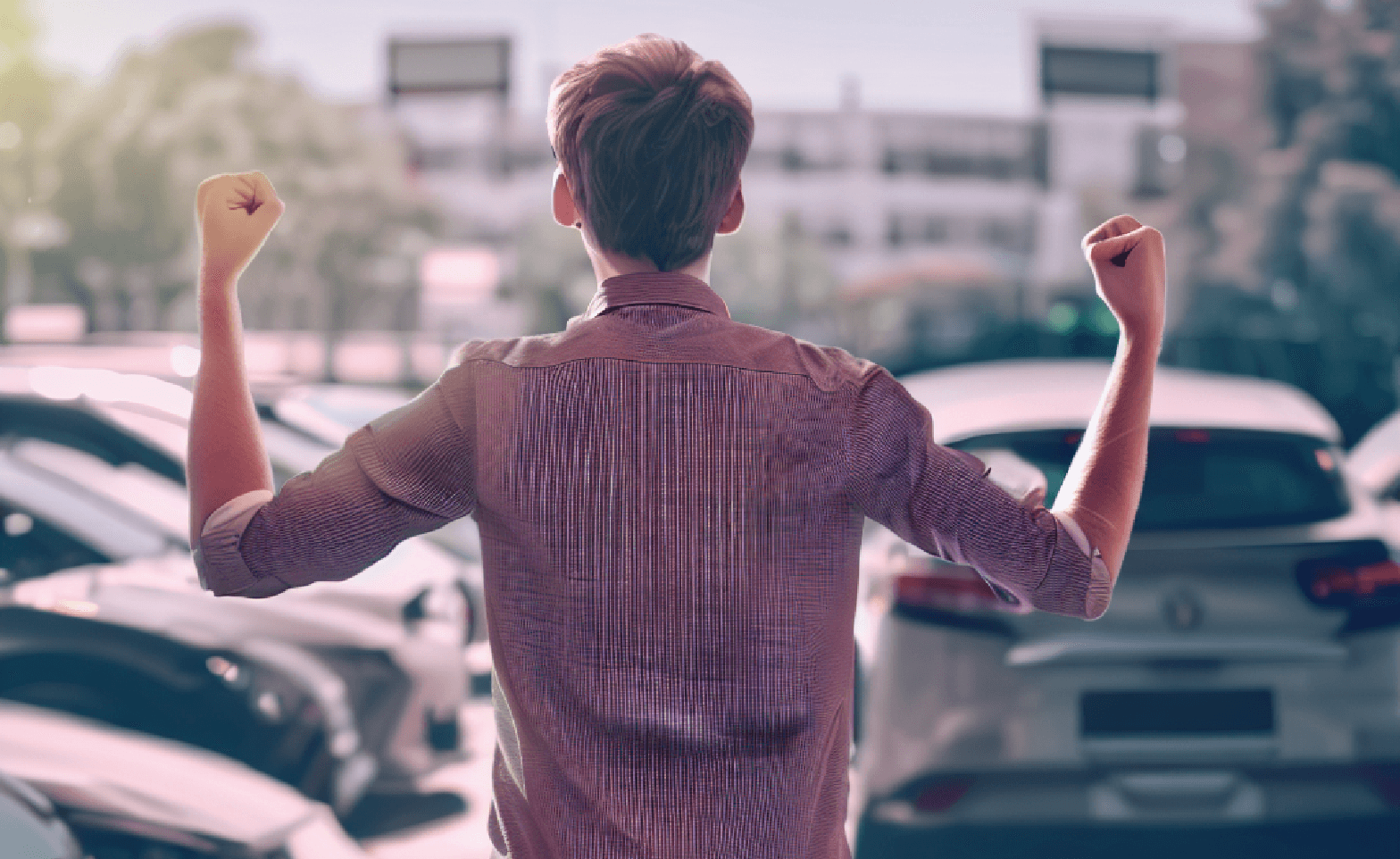 Used Car Cover Image